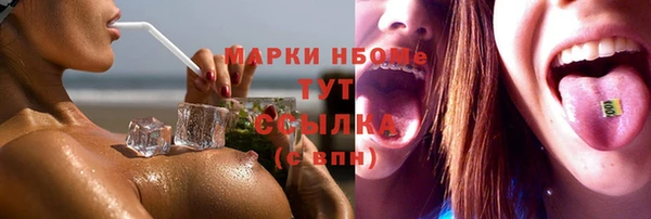 прущие грибы Абинск
