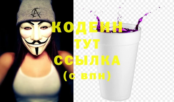 прущие грибы Абинск