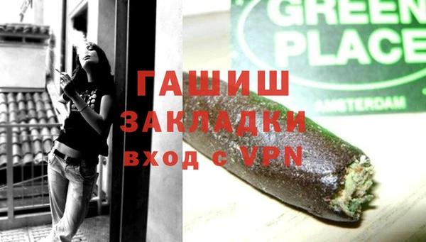 прущие грибы Абинск