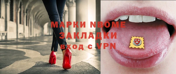 прущие грибы Абинск