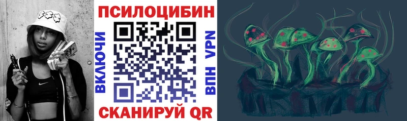 закладка  Кумертау  Псилоцибиновые грибы Cubensis 